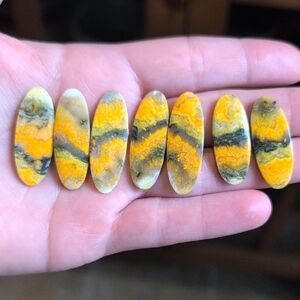 Bumblebee Jasper